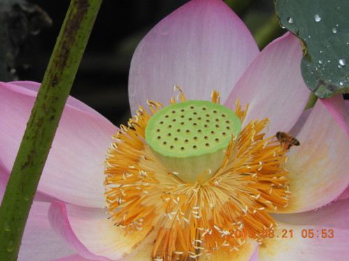 DSCN9381.JPG