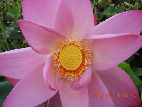 DSCN9387.JPG