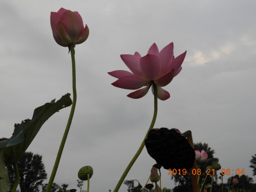 DSCN9388.JPG