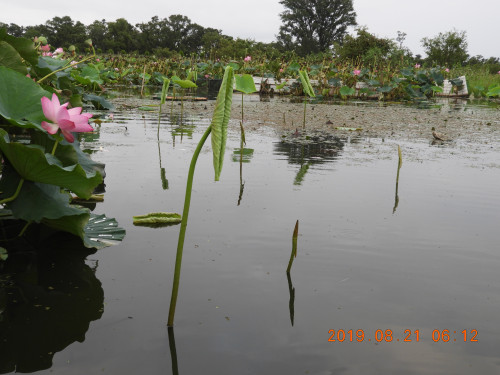 DSCN9389.JPG