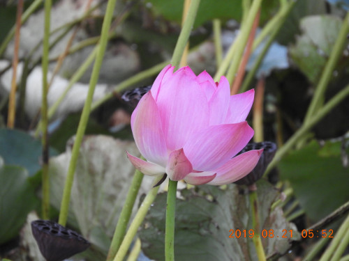 DSCN9379.JPG