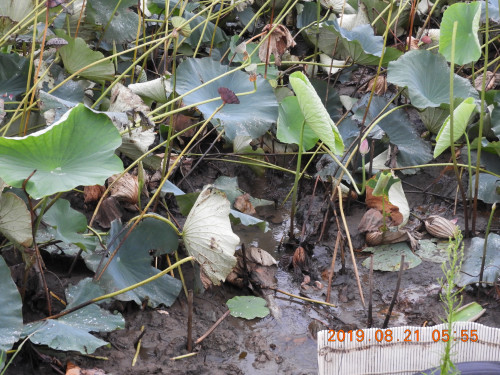 DSCN9382.JPG