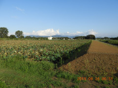 DSCN9405.JPG