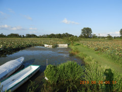 DSCN9404.JPG