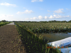 DSCN9403.JPG