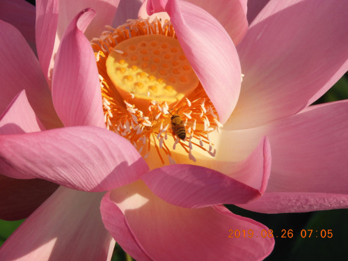 DSCN9411.JPG