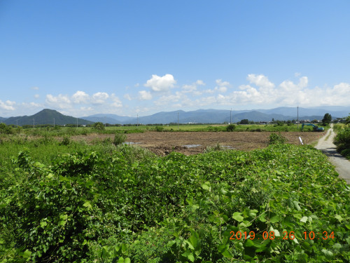 DSCN9433.JPG