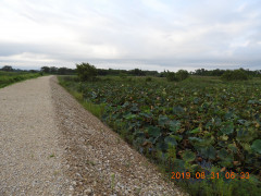 DSCN9484.JPG