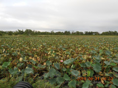 DSCN9485.JPG