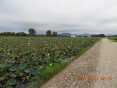 DSCN9486.JPG