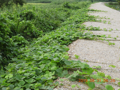 DSCN9487.JPG