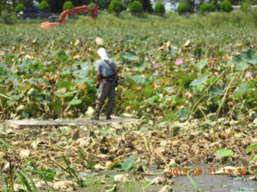 DSCN9501.JPG