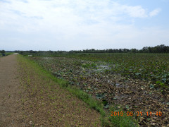 DSCN9502.JPG