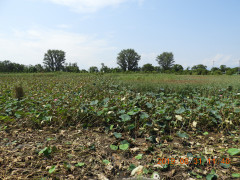 DSCN9503.JPG