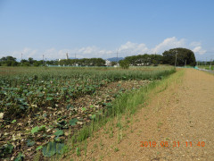 DSCN9504.JPG