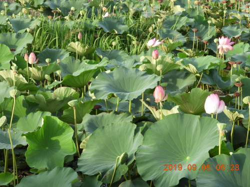 DSCN9530.JPG