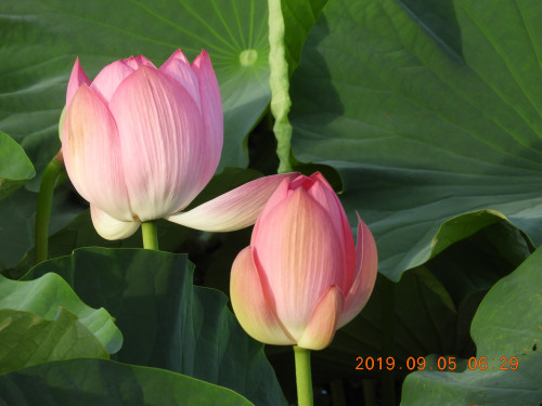 DSCN9532.JPG