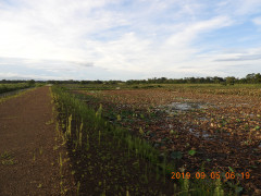 DSCN9526.JPG