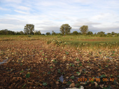 DSCN9527.JPG