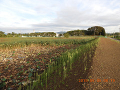 DSCN9528.JPG