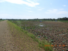 DSCN9573.JPG