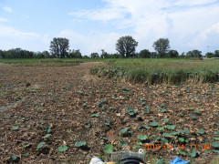 DSCN9574.JPG
