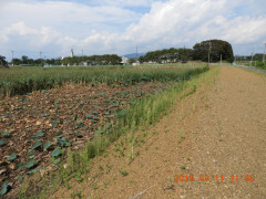 DSCN9575.JPG