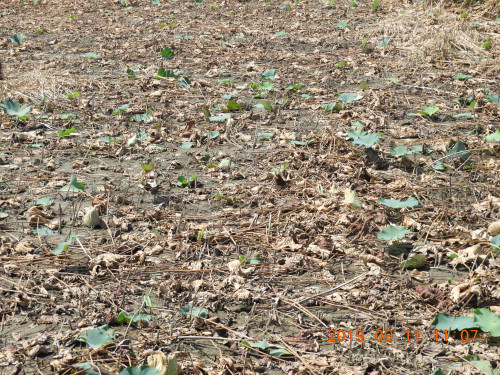 DSCN9576.JPG