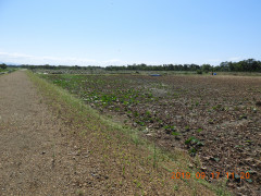 DSCN9622.JPG