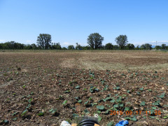 DSCN9623.JPG