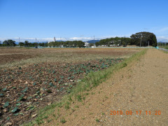 DSCN9624.JPG
