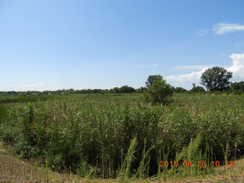DSCN9431.JPG