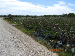 DSCN9640.JPG