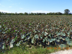 DSCN9641.JPG