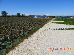 DSCN9642.JPG