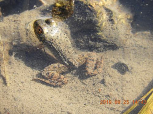 DSCN9652.JPG