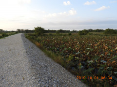 DSCN9685.JPG