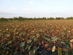 DSCN9686.JPG