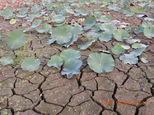 DSCN9688.JPG