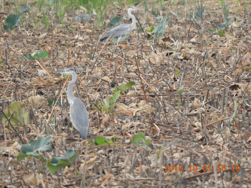 DSCN9696.JPG