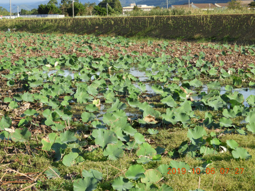 DSCN9705.JPG