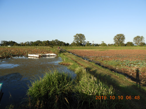 DSCN9715.JPG