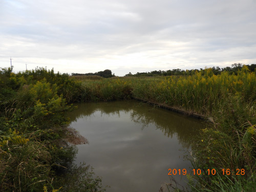 DSCN9718.JPG