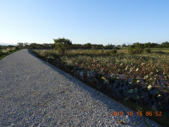 DSCN9734.JPG