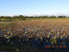 DSCN9735.JPG