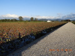 DSCN9736.JPG