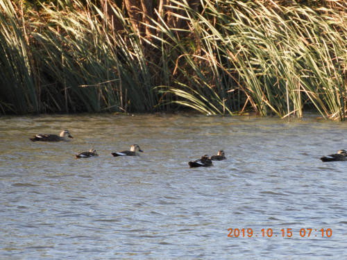 DSCN9747.JPG