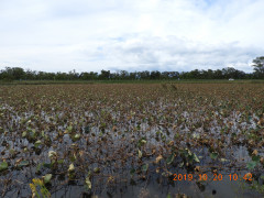 DSCN9776.JPG