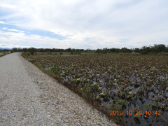 DSCN9775.JPG