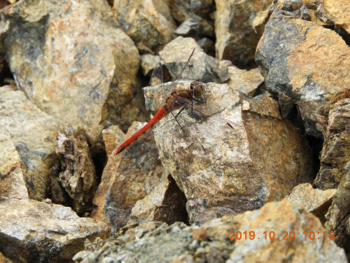 DSCN9773.JPG